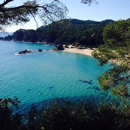 Appartements Les Pesquiers Hyeres Plage Exteriér fotografie